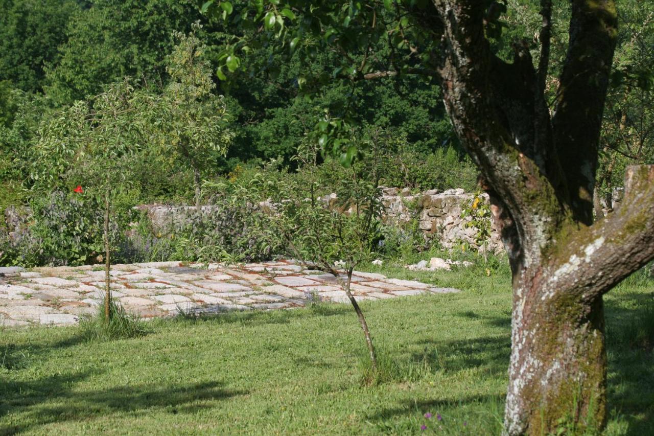 Pazo De Chaioso Ribeira Sacra Maceda Extérieur photo